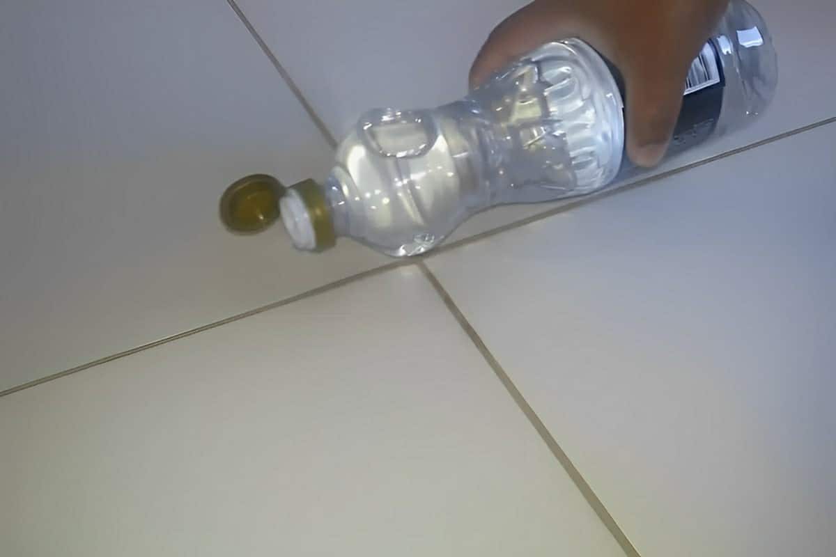 Nunca imaginei que esse produto caseiro seria um excelente limpador de pisos e rejuntes