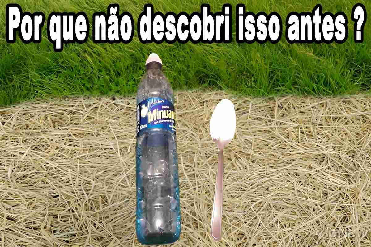 Acabei com todas as ervas daninhas da minha casa com esse mata mato caseiro