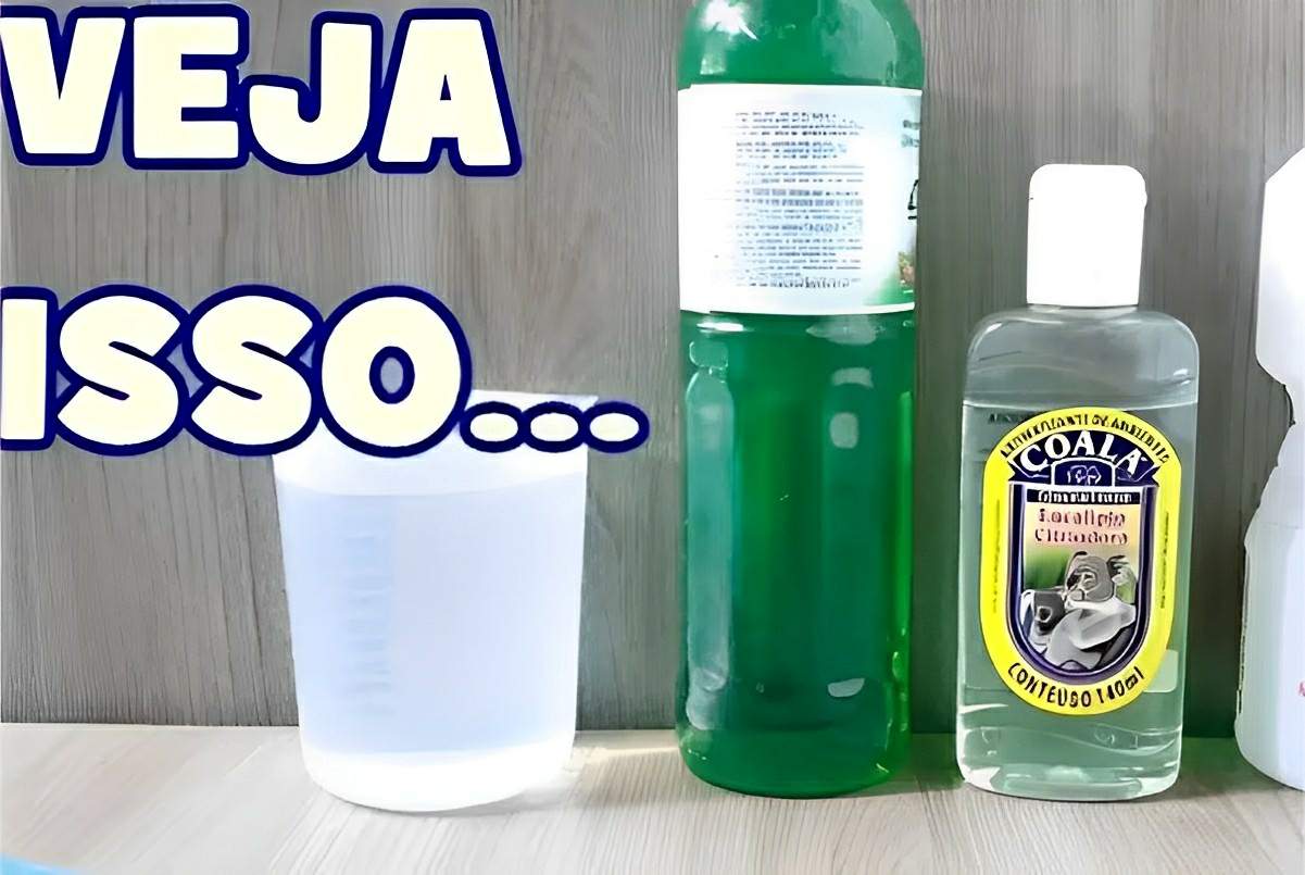 Adestrador caseiro: é só misturar esses 3 ingredientes simples e passar onde você não quer que o PET faça xixi