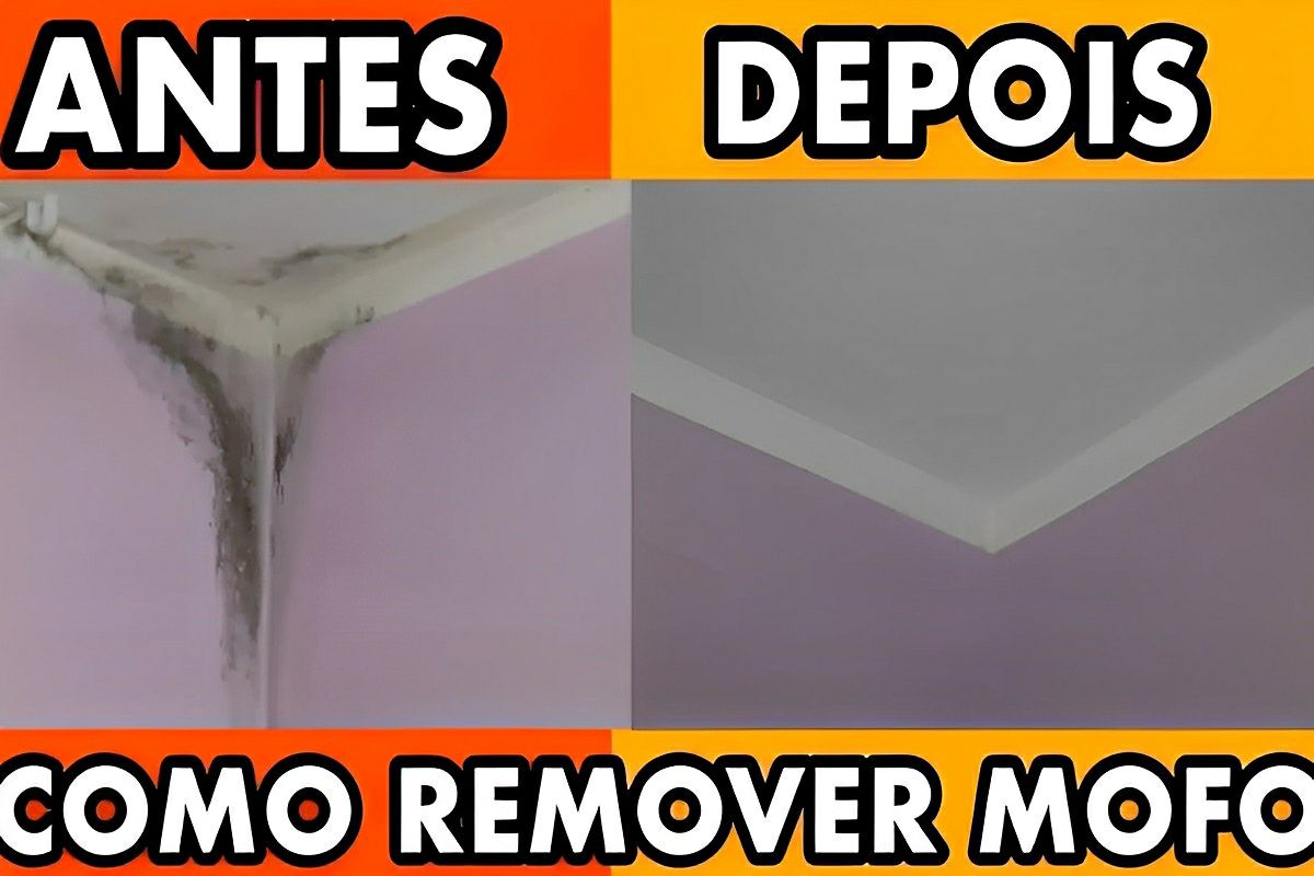Aprendi como remover mofo da parede com 1 produto que eu sempre tenho em casa