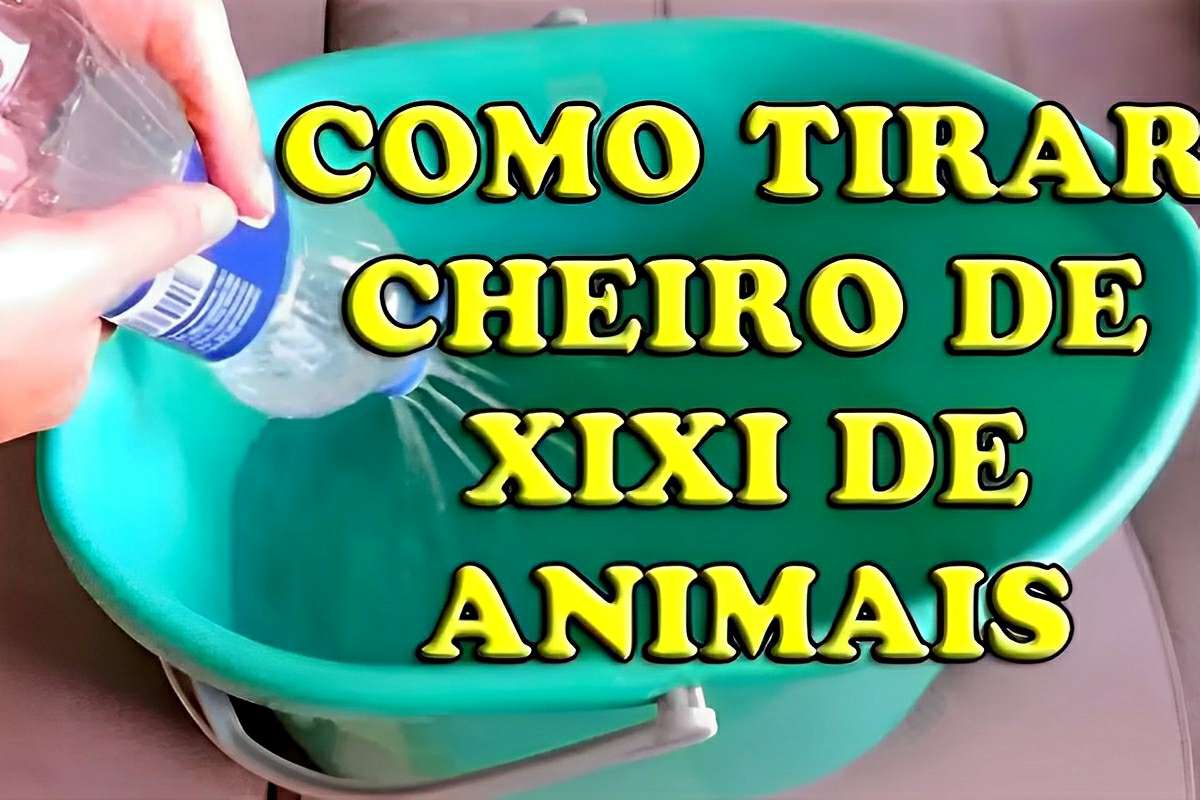 Como tirar cheiro de urina de animais da sua casa com apenas 3 ingredientes