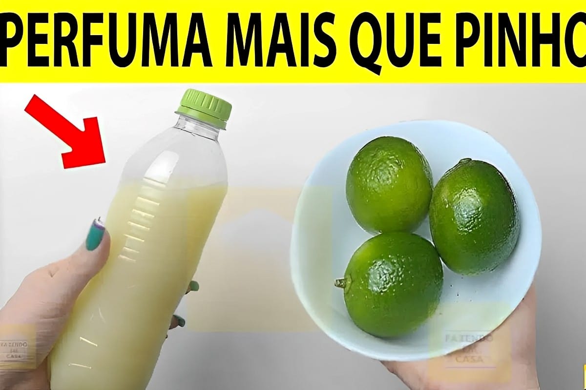 Desinfetante caseiro de limão que elimina o cheiro de urina de cães e gatos da sua casa
