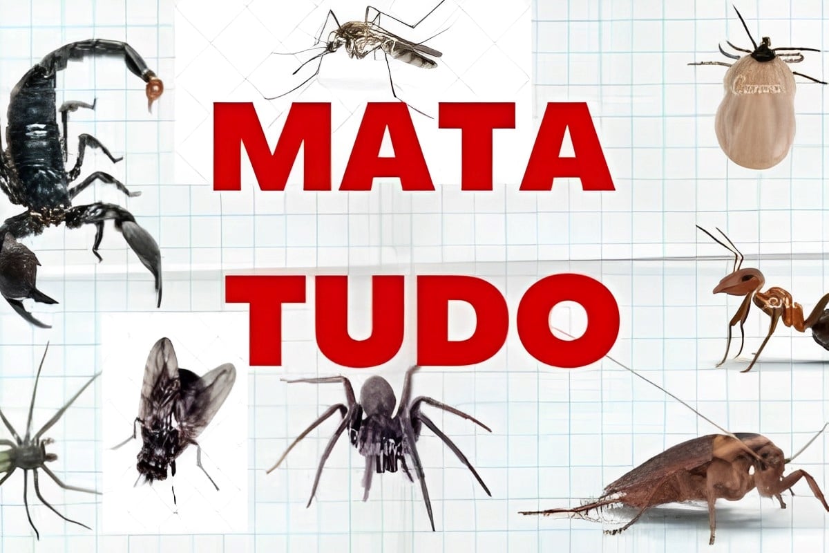 Inseticida caseiro mata tudo feito com 2 ingredientes que você tem em casa