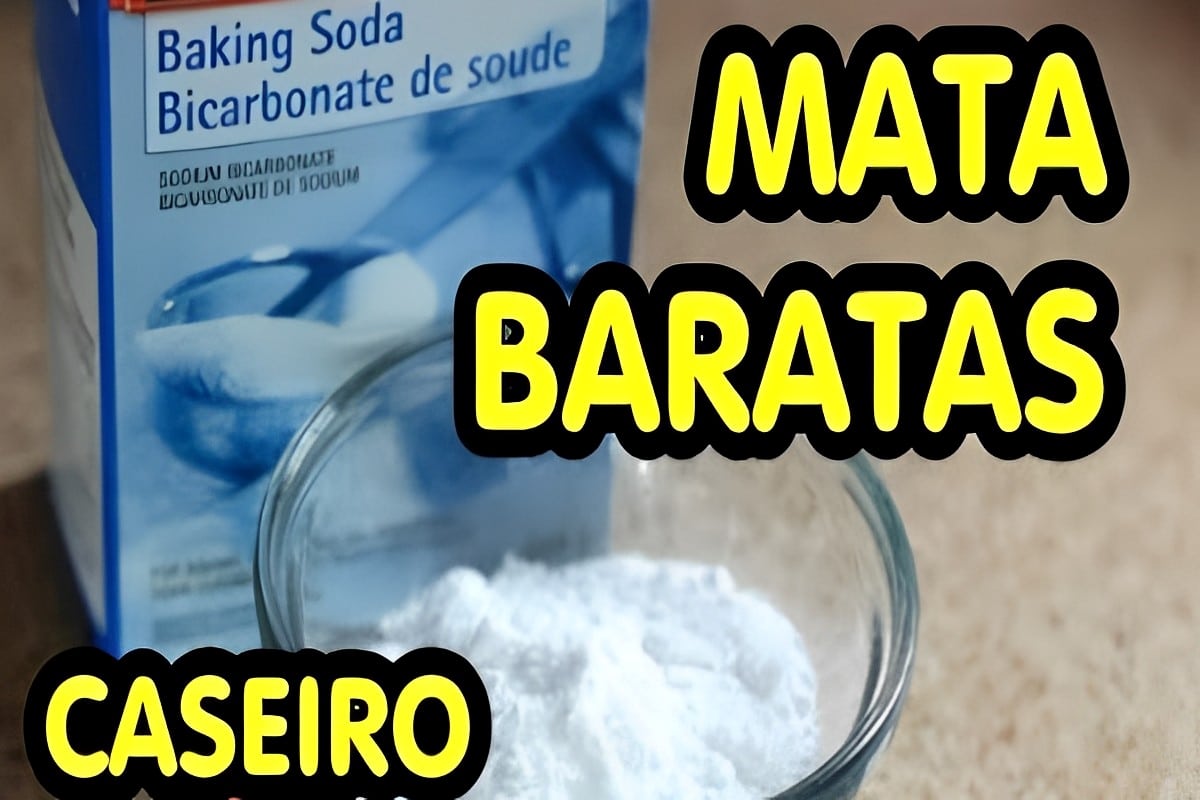 Fiz um mata baratas caseiro com 3 ingredientes que eu tinha em casa e funcionou