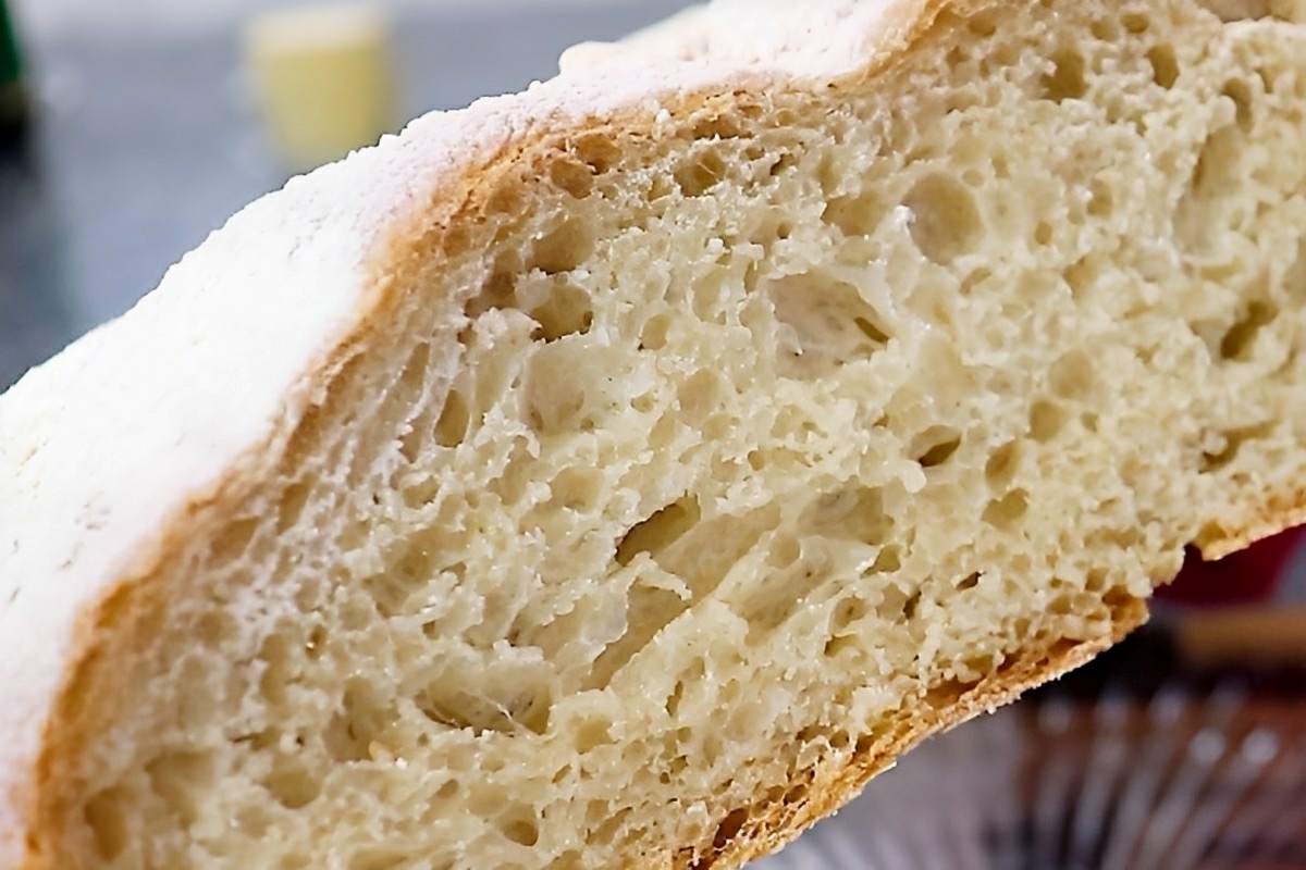 Pão caseiro sem sovar ou pão 10 dobras feito apenas com farinha fermento água e sal