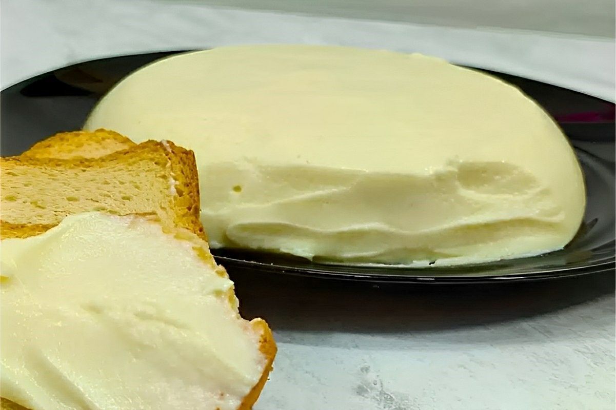 Fiz esse requeijão cremoso de corte usando apenas 2 ingredientes e ficou maravilhoso
