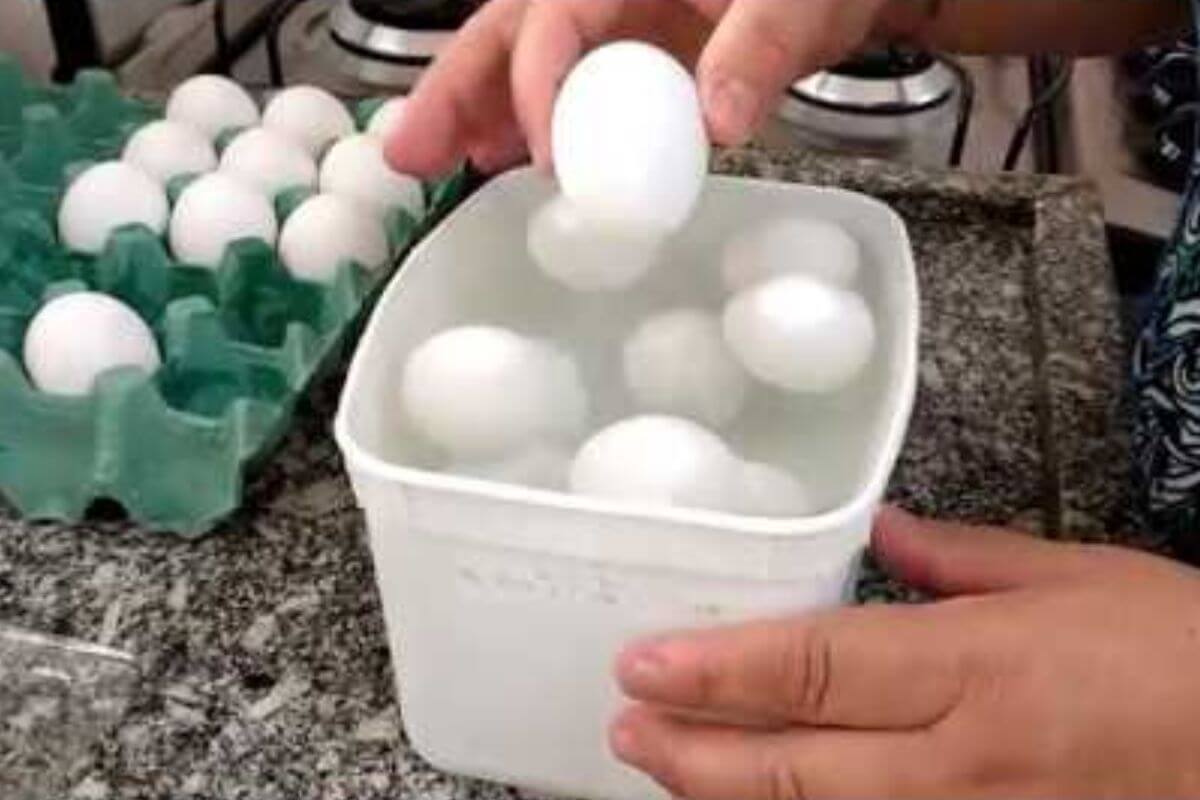 Dica valiosa descubra como saber se ovo está estragado e não atrapalhar nas suas receitas