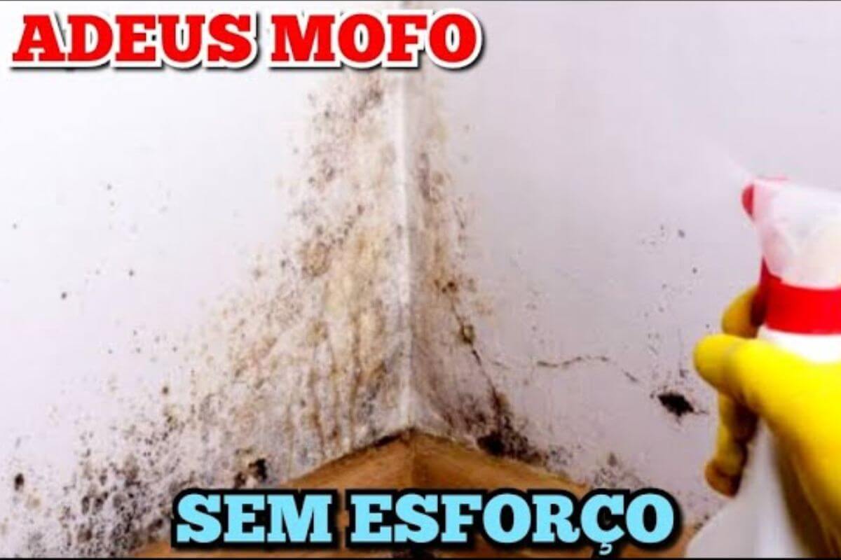 Dica importante: faça uma mistura para limpar mofo de parede na sua casa e acabe com toda sujeira