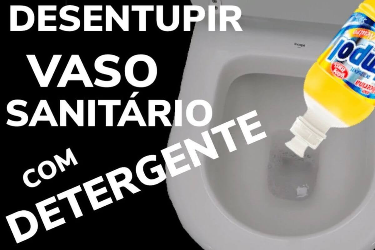 Comece seu ano novo aprendendo uma técnica fácil de como desentupir vaso sanitário