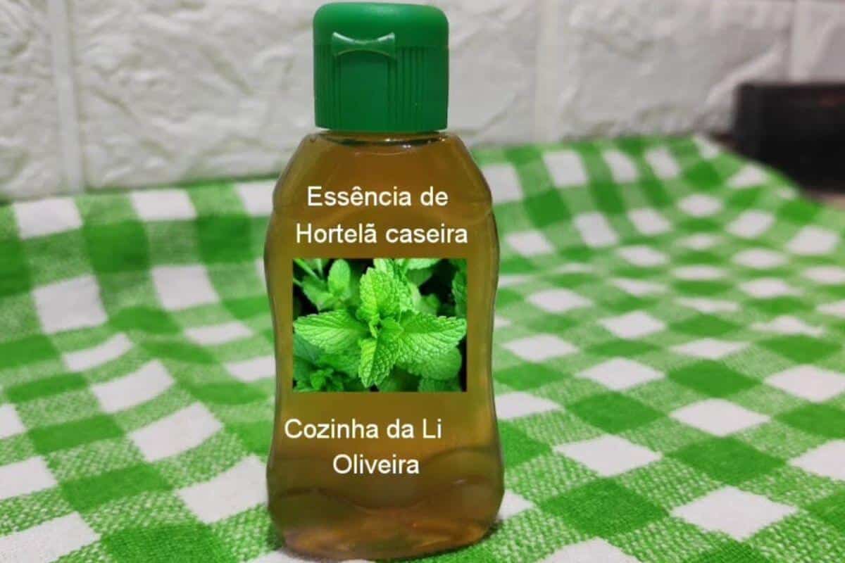 Essência de hortelã caseira para você usar em várias receitas do sua semana