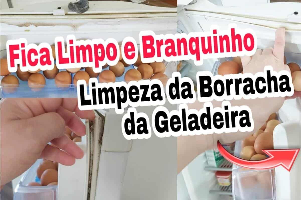Como limpar borracha da geladeira e deixar sua cozinha super limpinha para o fim de ano