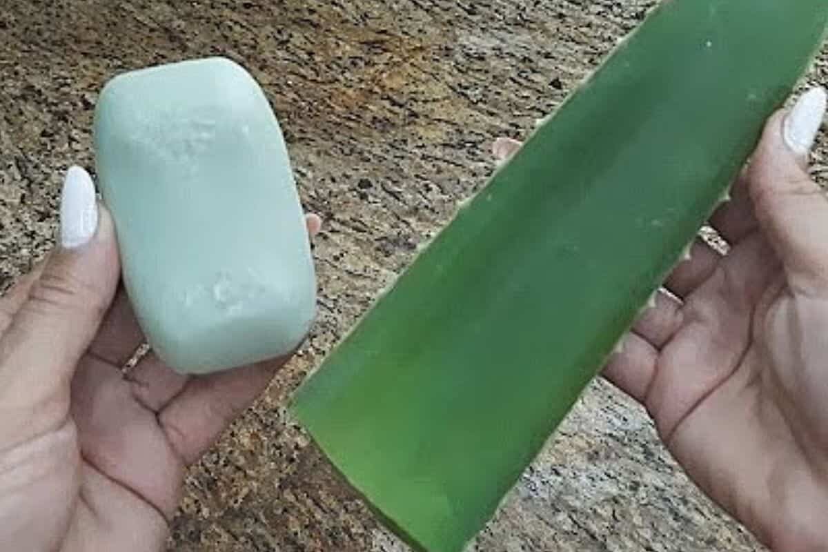 Aprenda a fazer sabonete de babosa caseiro para manter a pele sempre hidratada