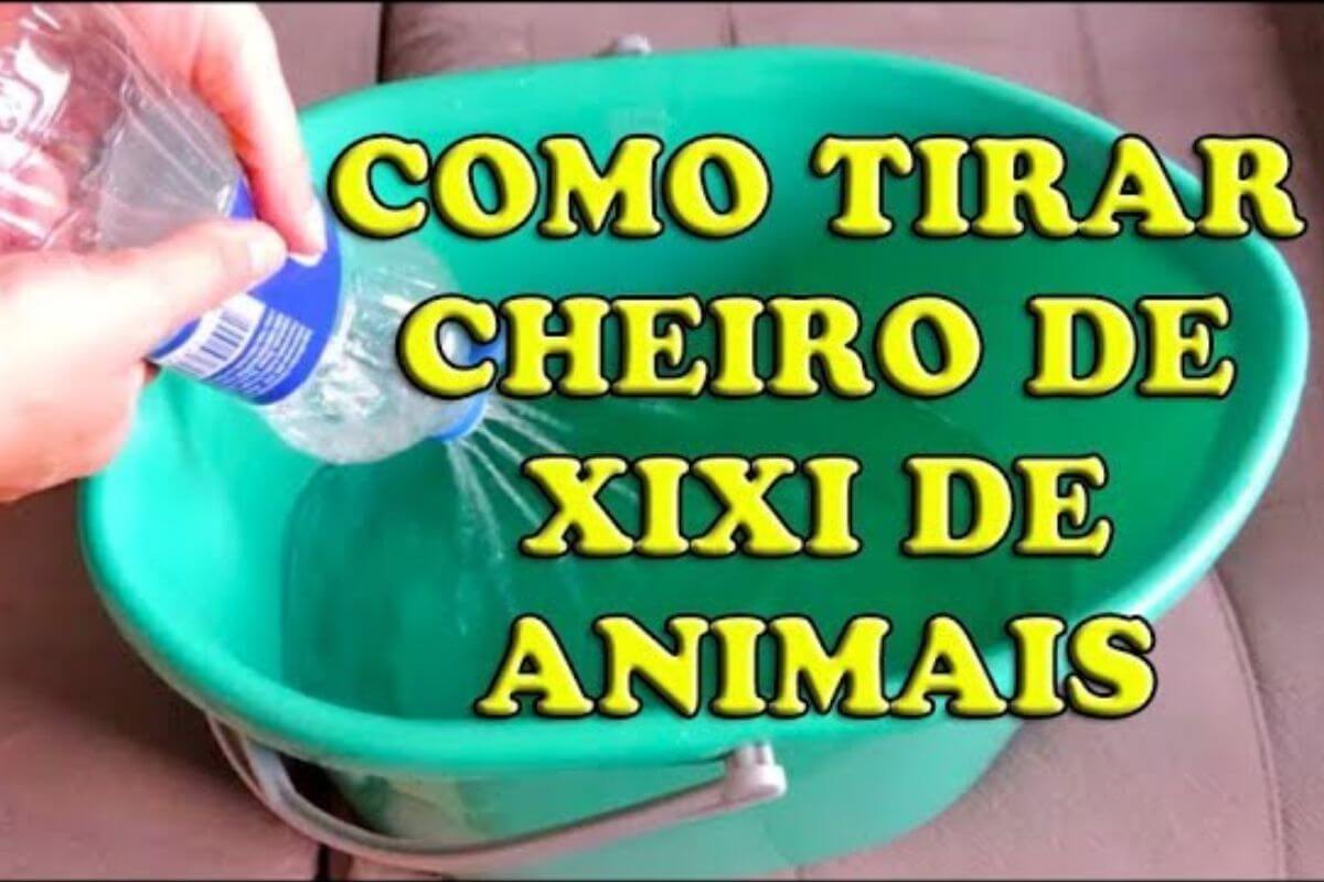 Como tirar cheiro de urina de animais para sua casa ficar super cheirosa para o ano novo