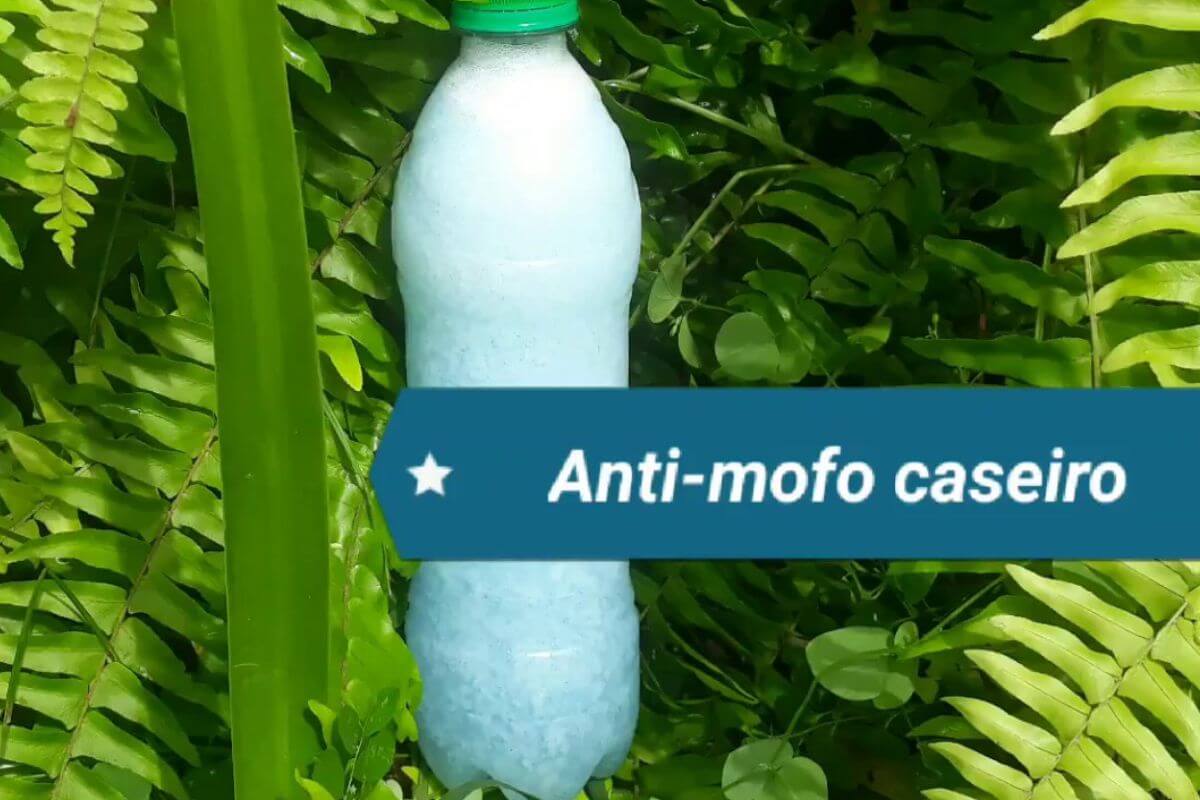 Aromatizante antimofo para deixar sua casa cheirosa e livre de mofo