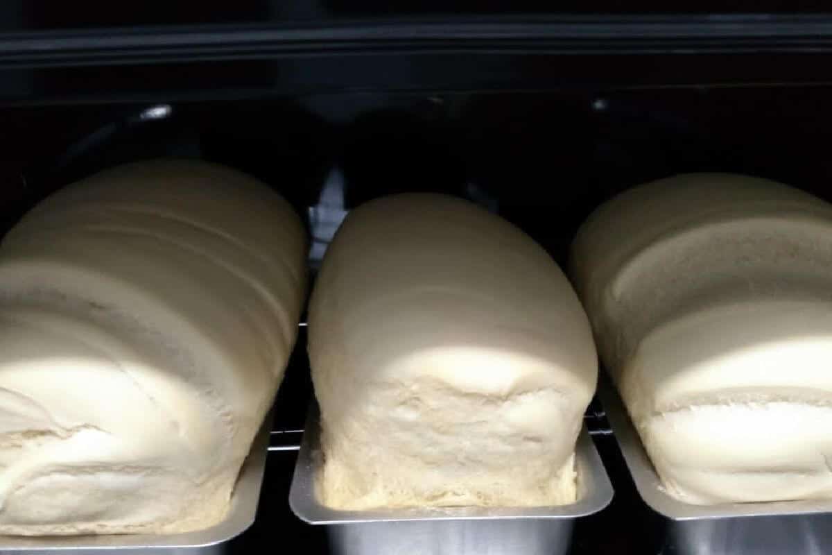 Pão caseiro perfeito que cresce bastante com um segredo bem fácil de fazer