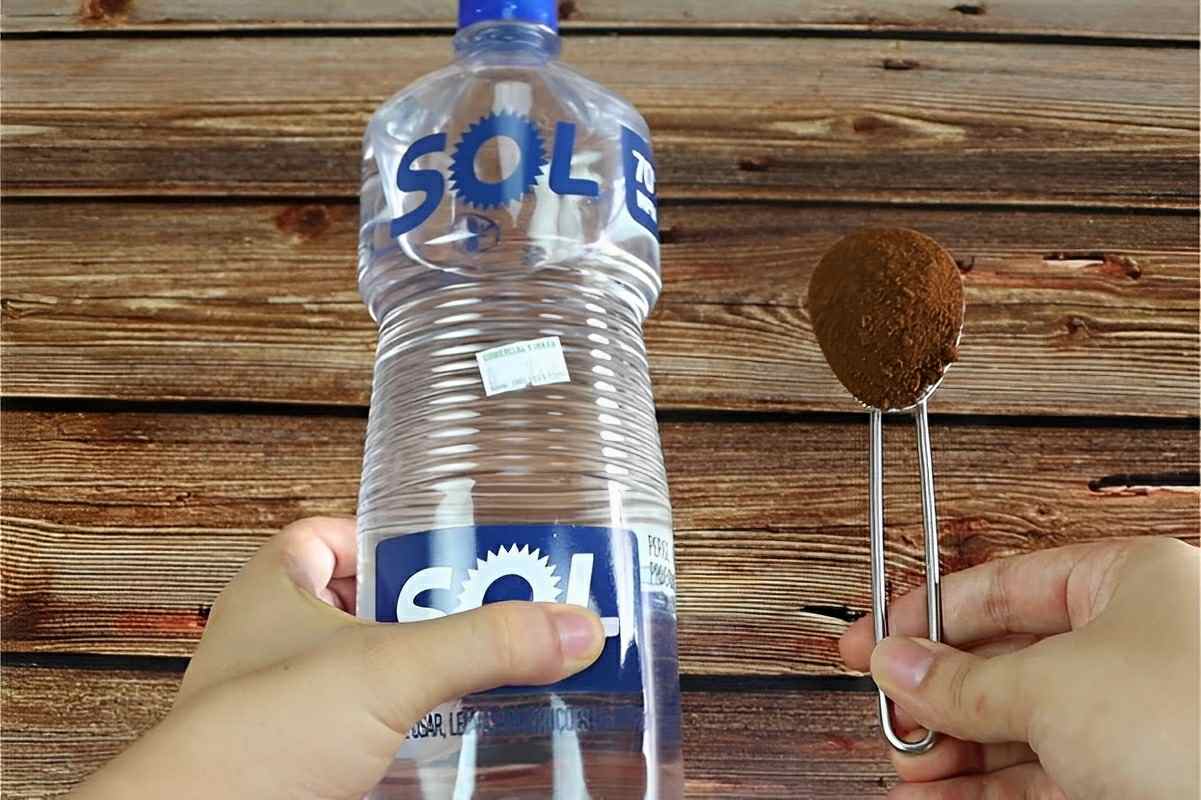 Faça um repelente caseiro sem precisar comprar produtos caros no mercado