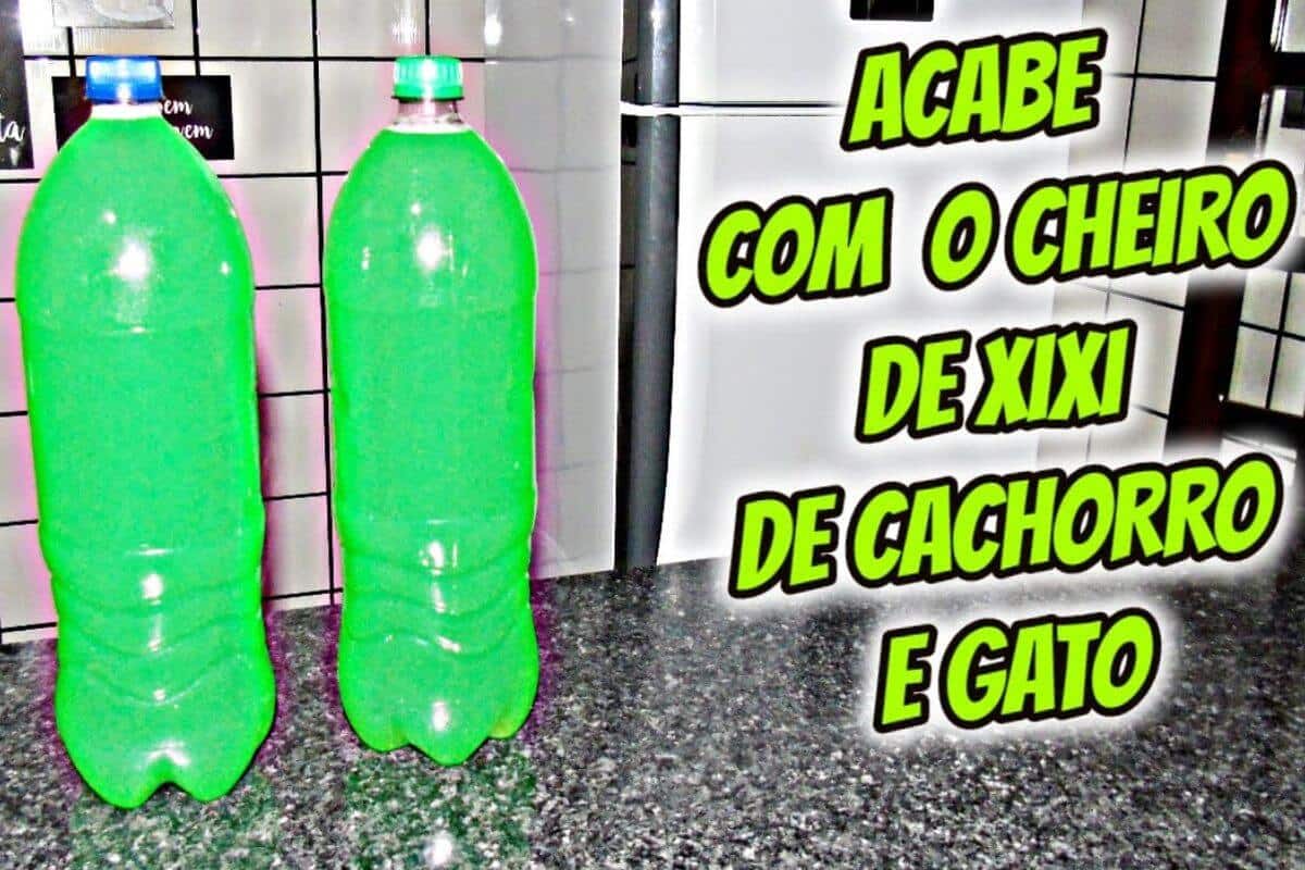 Veja como tirar cheiro de urina de animais e deixar sua casa muito cheirosa e agradável
