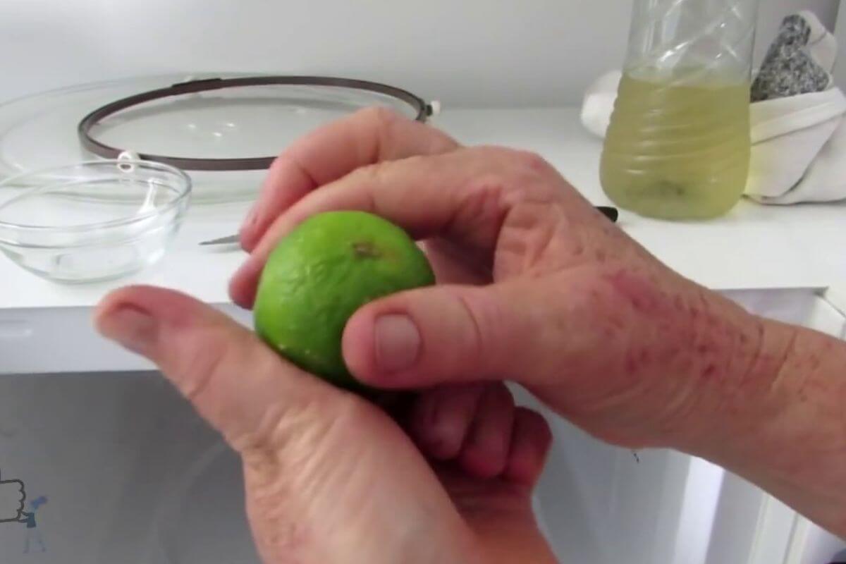 Veja um jeito simples e fácil de como tirar mau cheiro do microondas