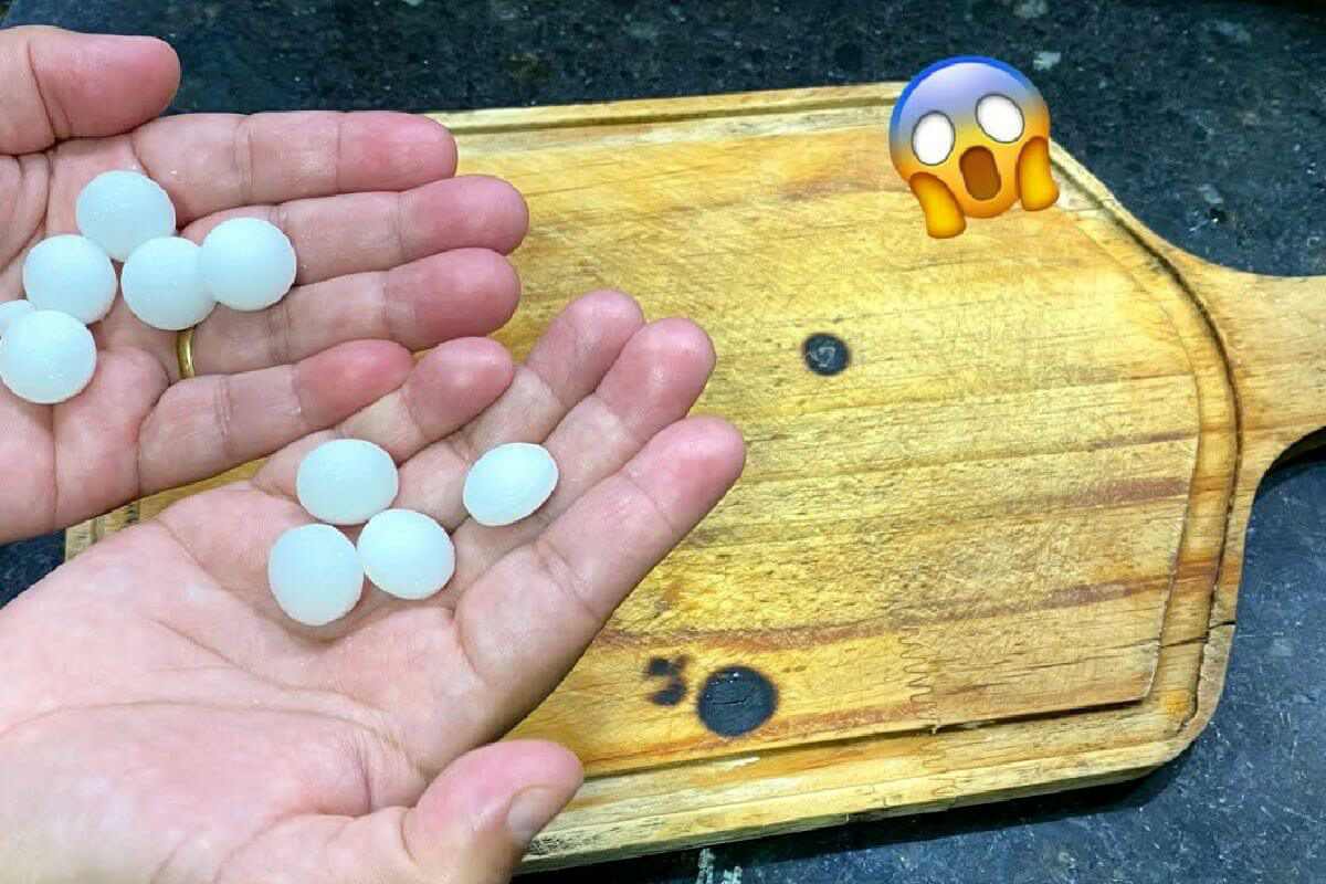 Espantar moscas e baratas nunca foi tão fácil com essa dica sensacional