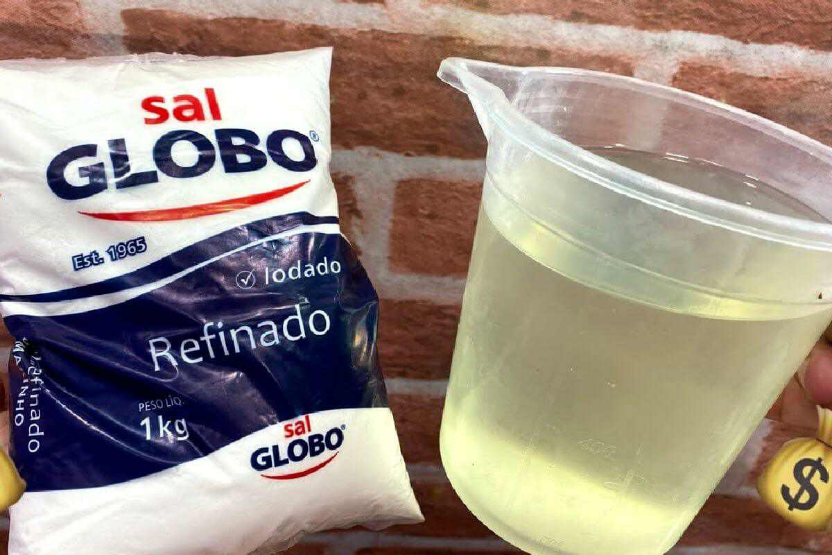 Misturei sal e água sanitária e parei de gastar com isso no mercado