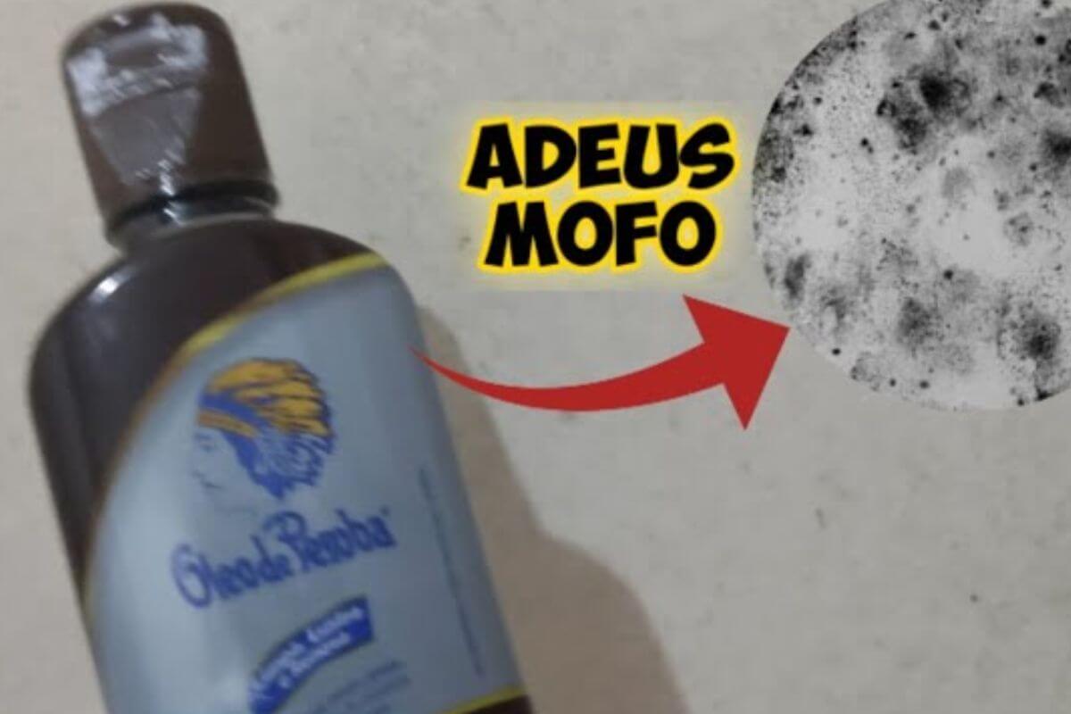Quer deixar sua casa limpa para a páscoa? Veja essa dica de eliminar o mofo das paredes
