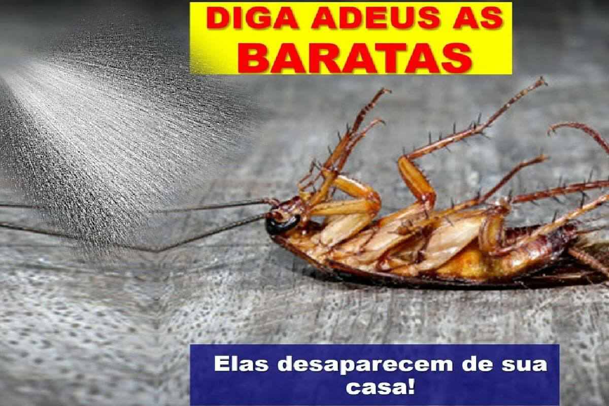 Inseticida caseiro que vai acabar com as baratas da sua casa definitivamente