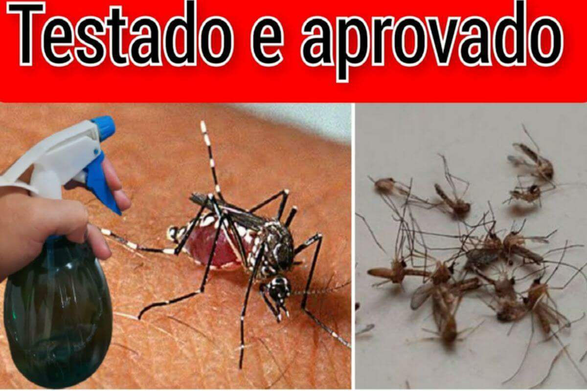 Aprenda a fazer um inseticida caseiro que vai eliminar todos os insetos da sua casa