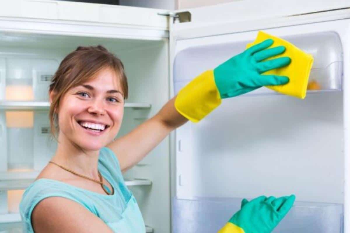 Como limpar borracha da geladeira e tirar todo mofo e sujeira grudada