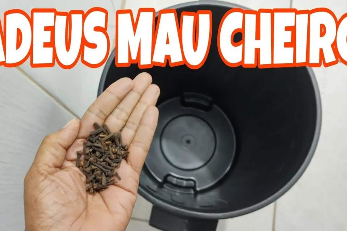 Veja como tirar mau cheiro da cozinha de uma vez por todas gastando quase nada
