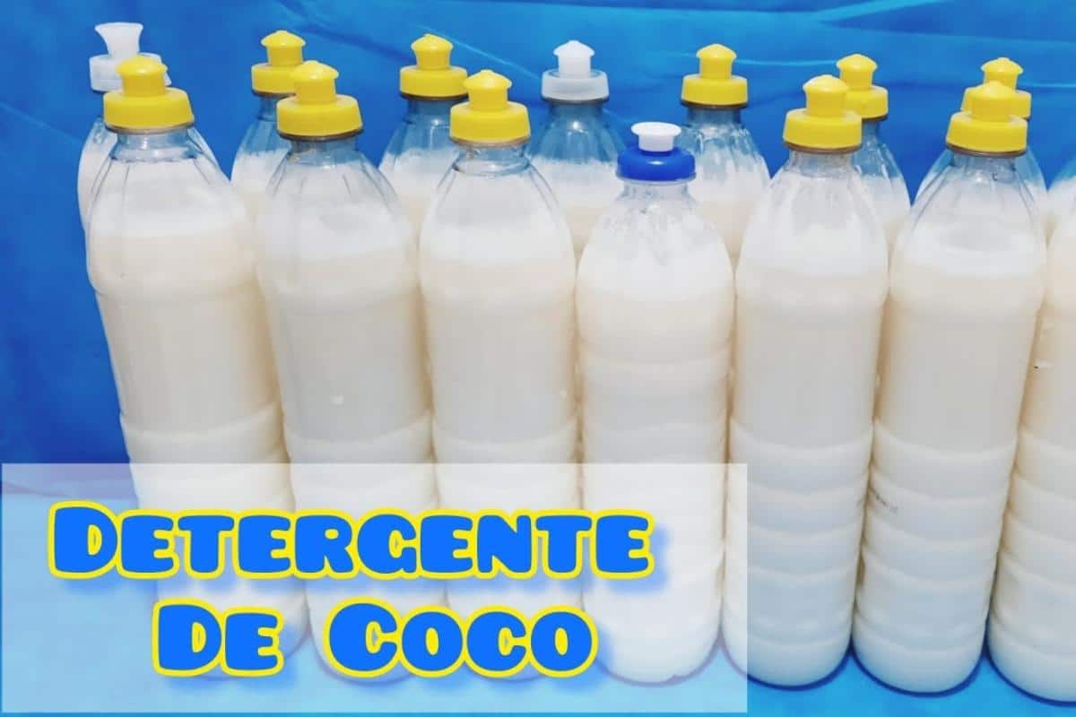 Detergente de coco caseiro e milagroso para te ajudar nas louças depois do almoço do dia das mães