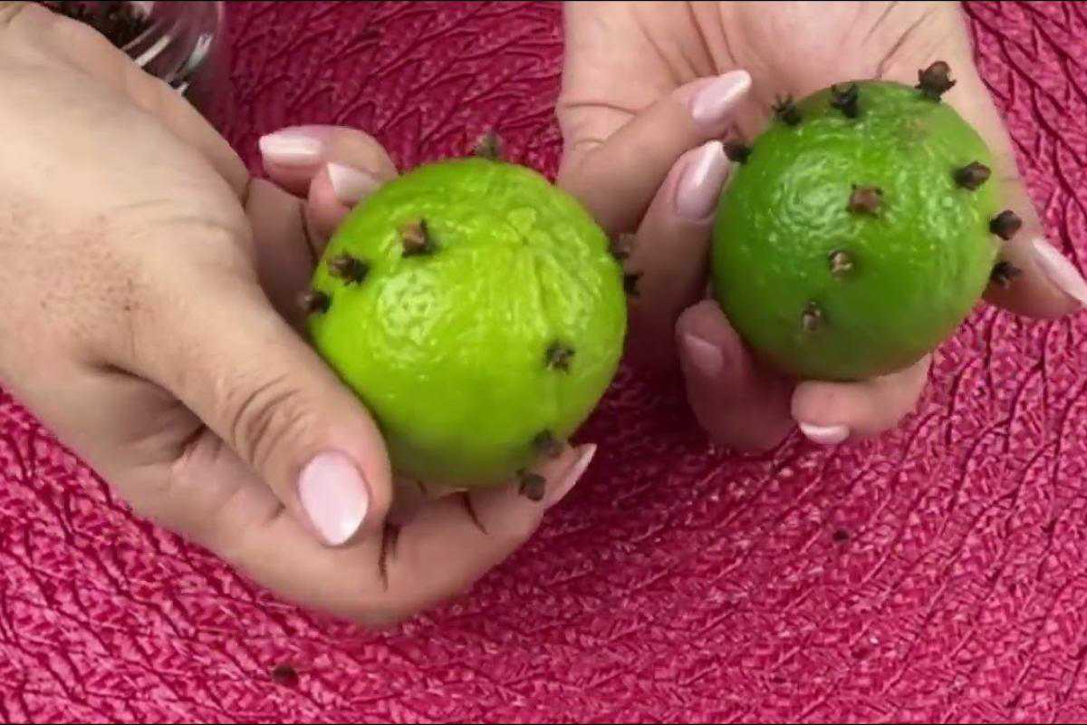 Dica para deixar banheiro cheiroso sem precisar gastar com produto caro no mercado