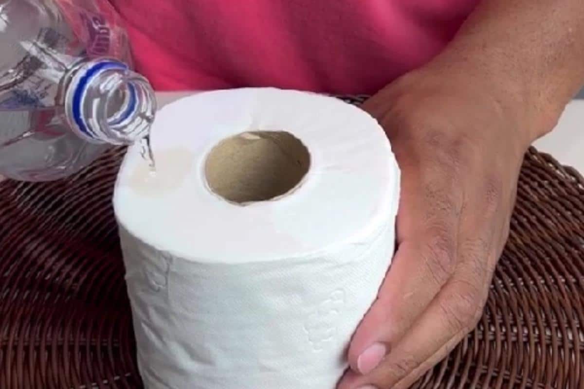Dica para deixar banheiro cheiroso que vai te deixar de queixo caído com o resultado