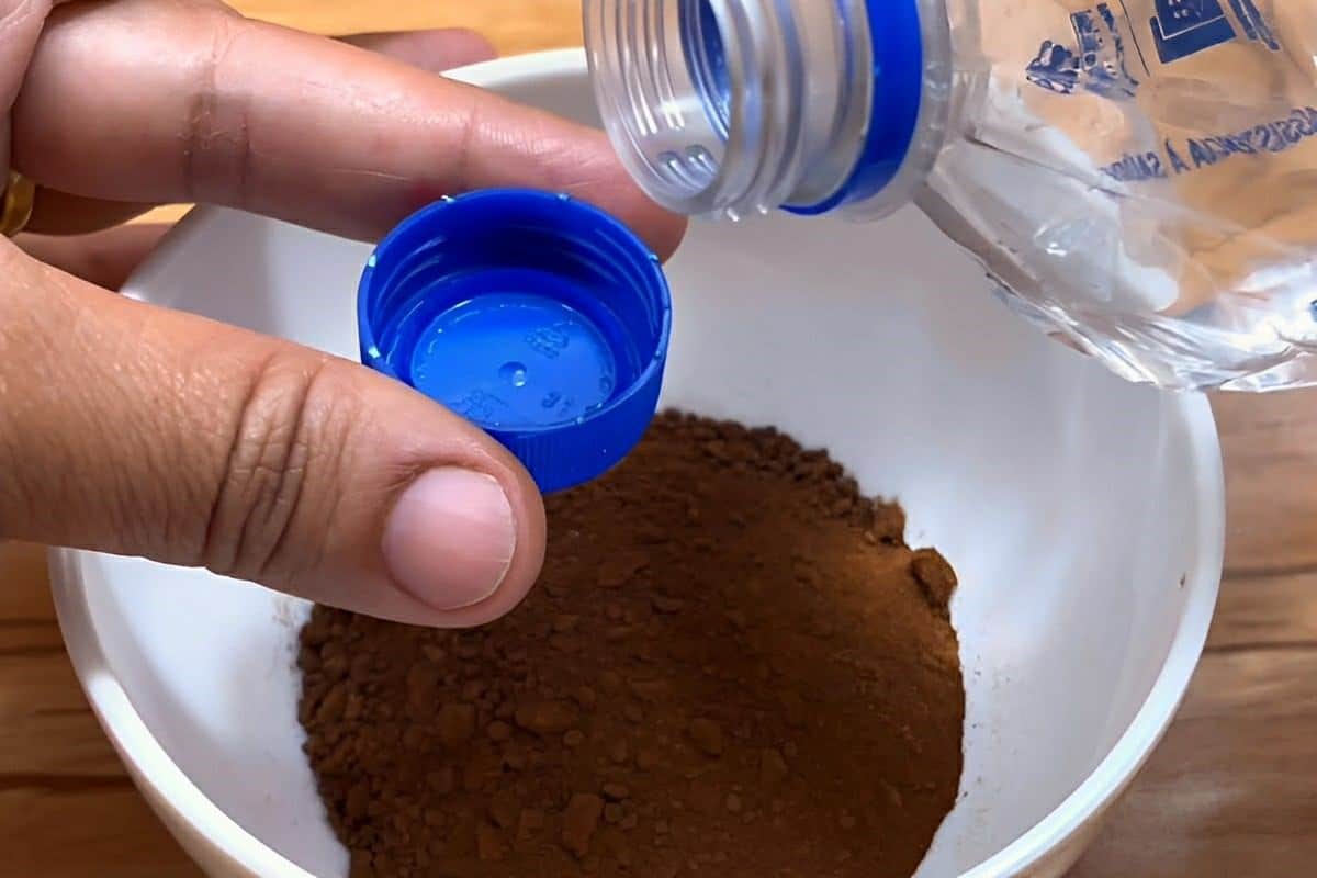 Dica para espantar insetos da cozinha de tão boa e barata que dá para fazer todo dia