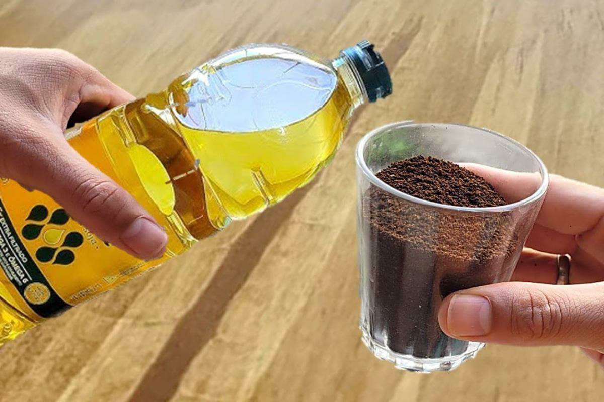 Veja como espantar mosquitos da cozinha para o seu almoço de dia das mães