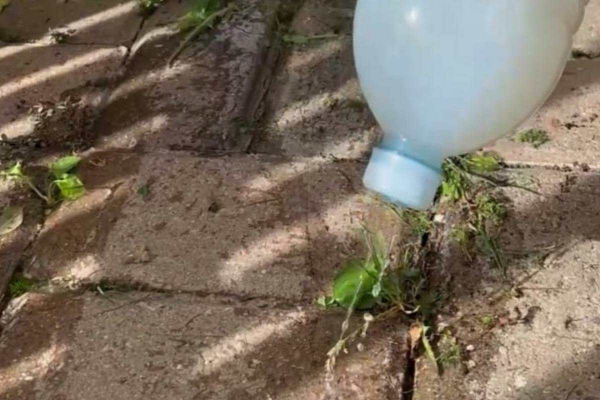 Acabe com aquele matinho do seu quintal com esse herbicida caseiro e fácil de fazer