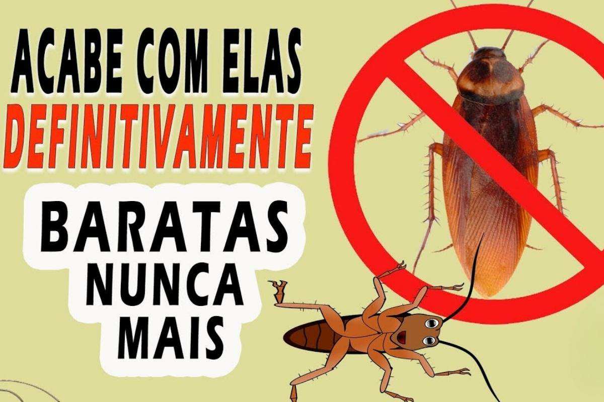 Faça uma inseticida caseiro usando apenas 2 ingredientes bem simples e baratos
