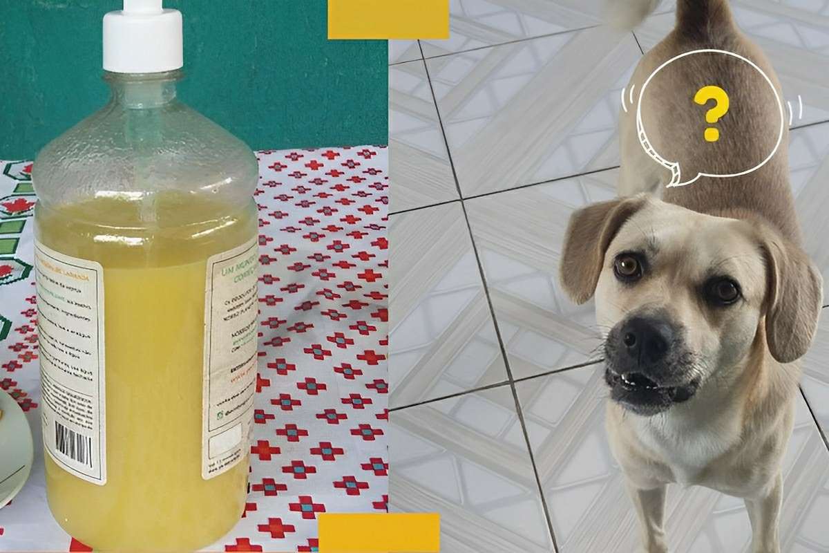 Repelente contra xixi de cachorro que vai acabar com esse problema na sua casa