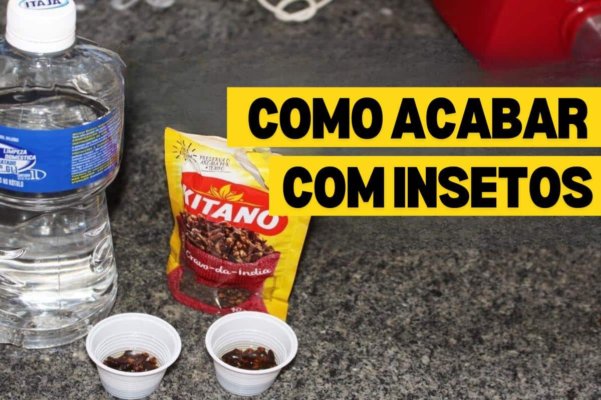 Como acabar com os insetos da sua casa inteira sem usar veneno