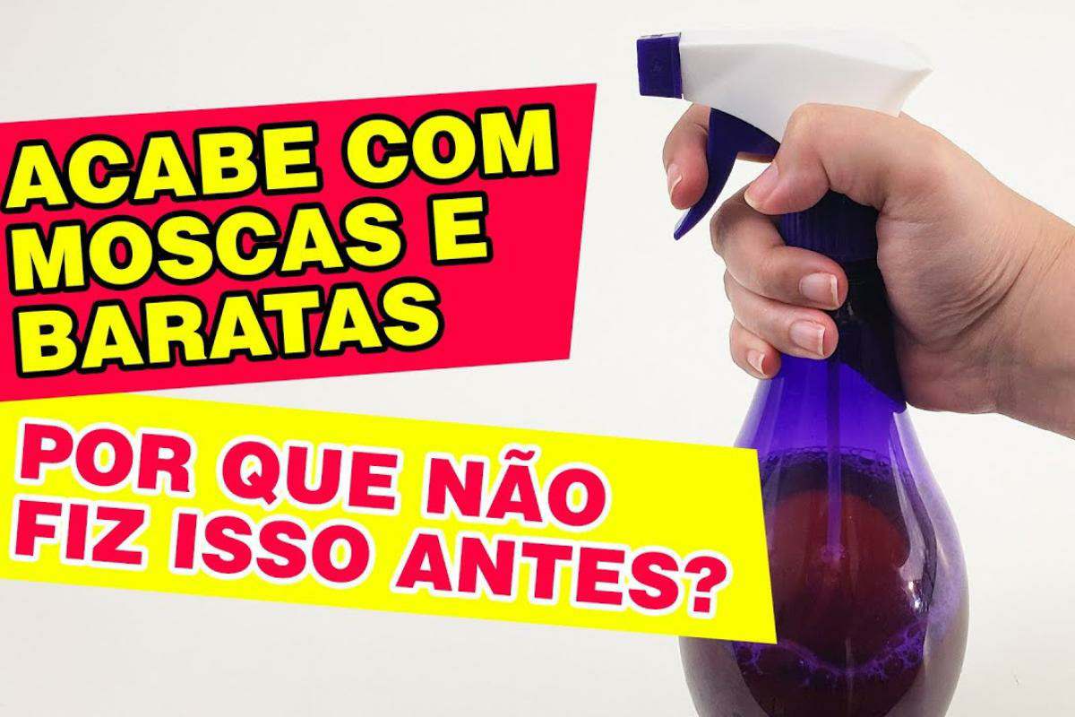 Como espantar os insetos da sua casa usando uma misturinha caseira milagrosa
