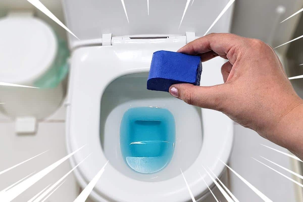 Dica para deixar o banheiro cheiroso de um jeito caseiro sem gastar com produto caro