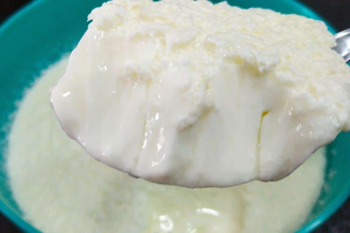 Fiz um iogurte caseiro delicioso e agora não consigo ficar sem faço toda semana