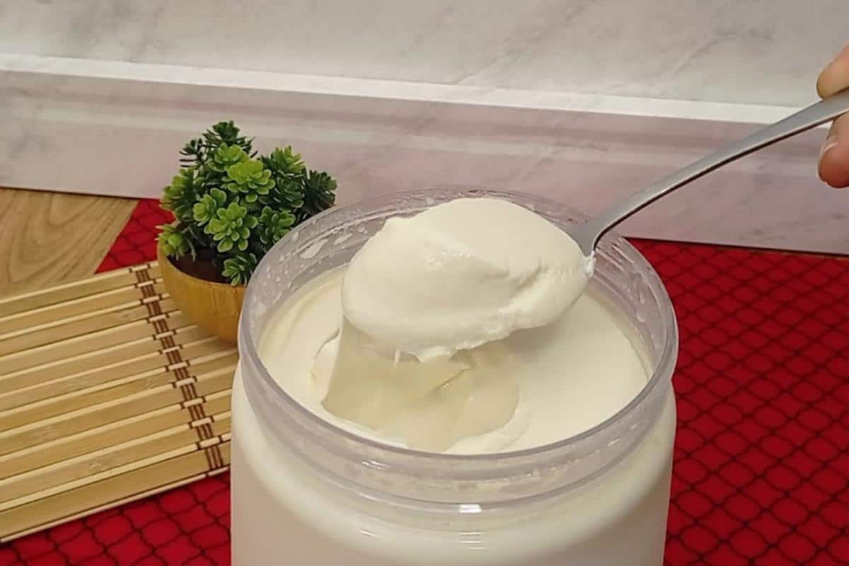 Depois que aprendi a fazer esse iogurte natural caseiro parei de comprar no mercado
