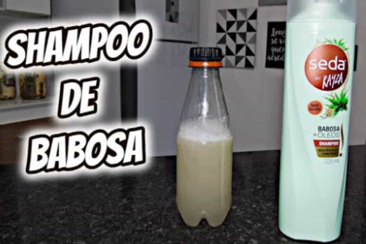 Veja como fazer um shampoo de babosa caseiro maravilhoso para seus cabelos