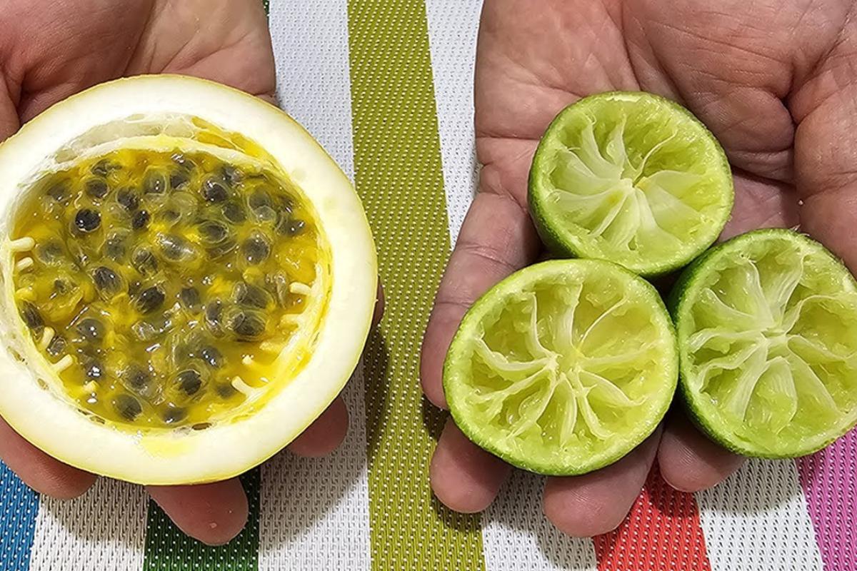 Sobremesa gelada para preparar no dia das mães que sua família vai te pedir pelo resto do ano