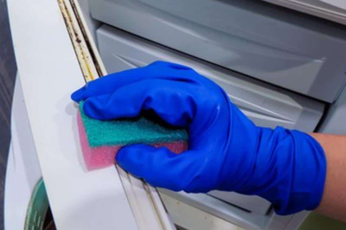 Como limpar borracha da geladeira de um jeito fácil e prático