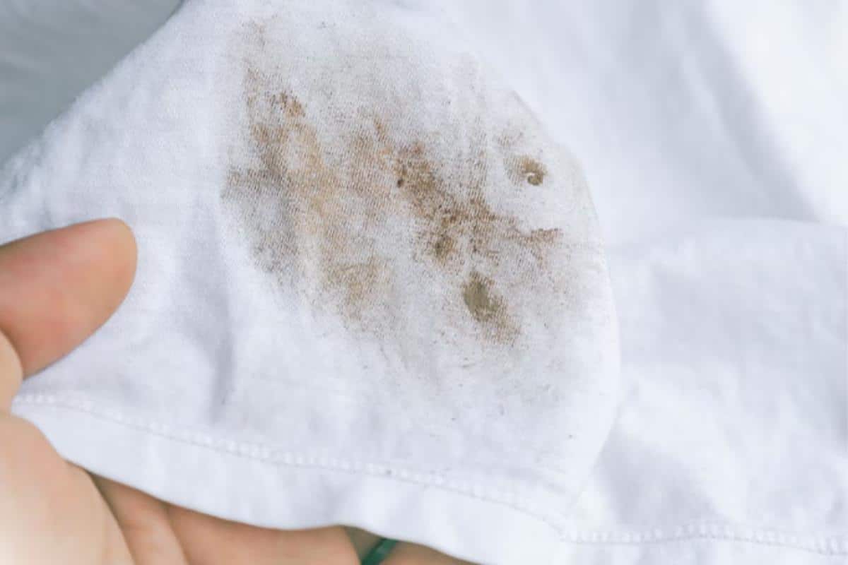 Como tirar manchas de mofo de panos de prato e roupas de um jeito bem fácil