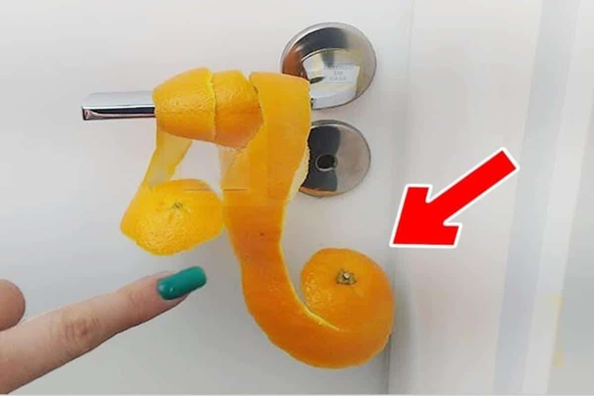 Me surpreendi com o resultado de colocar casca de laranja atrás da porta