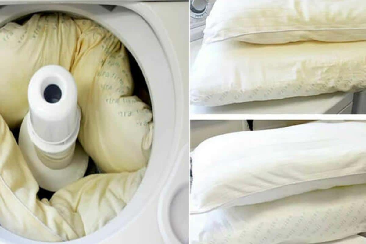 Como lavar travesseiro para tirar manchas de mofo e bolor rapidinho