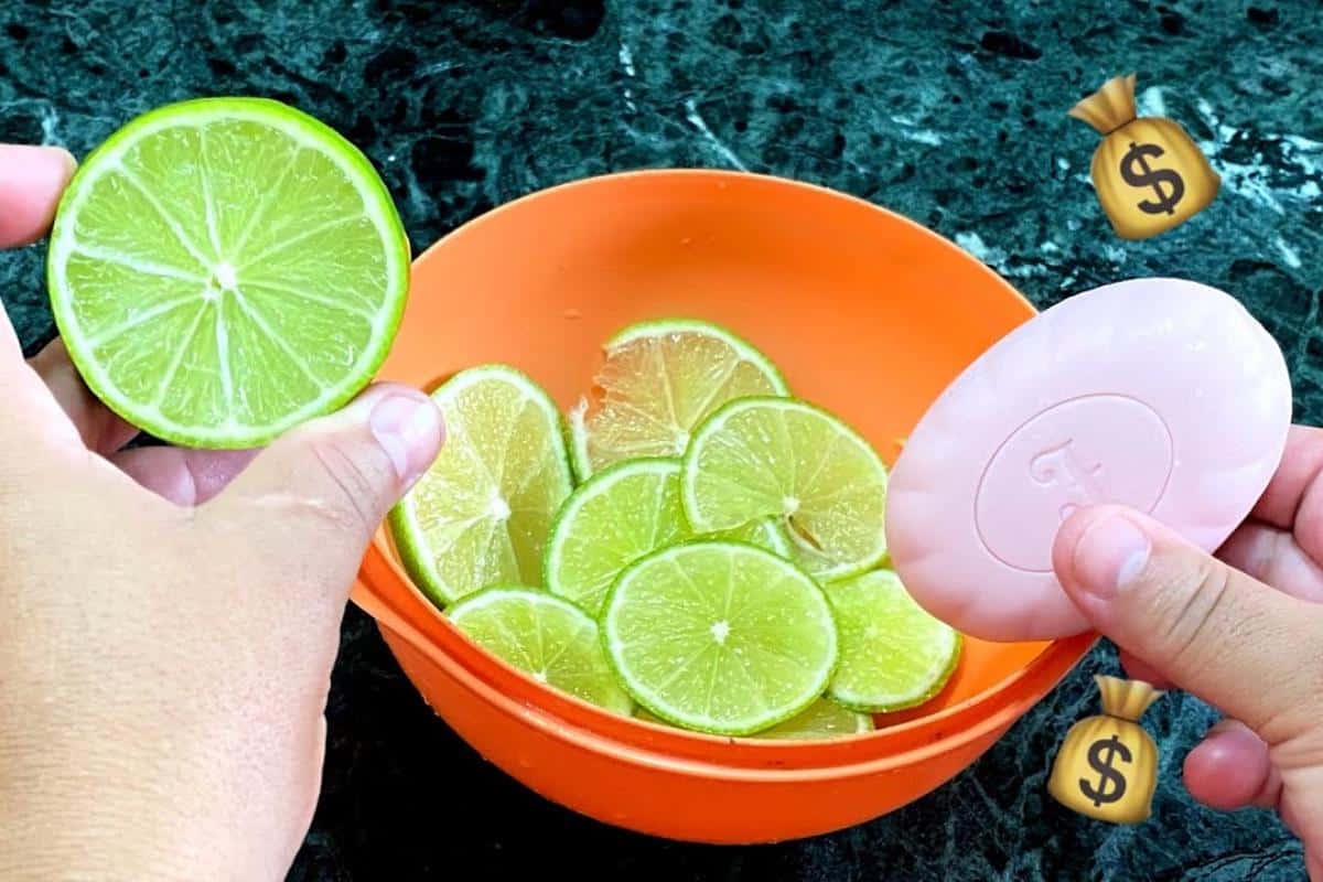 Dica para limpar banheiro sujo e deixar cheiroso 7 dias por semana