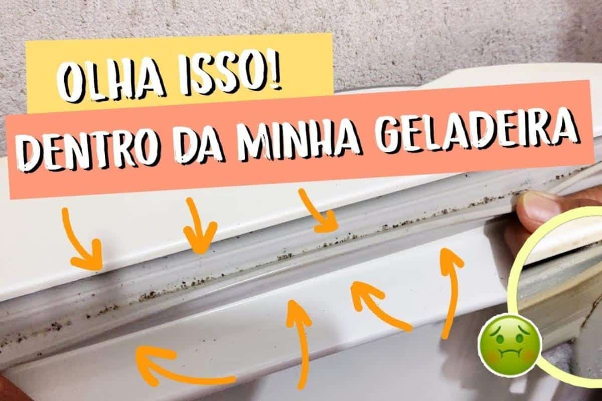 Dica para limpar geladeira e tirar toda sujeira escondida na borracha da porta